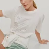 Camiseta De Algodon Con Logo^Pedro del Hierro Best